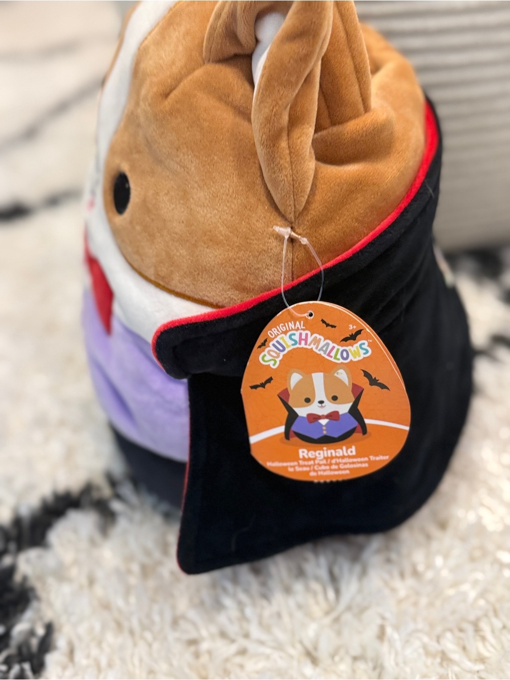 Squishmallows Reginald Vampire Corgi Halloween Treat Pail Plush Bucket NWT - Picture 7 of 9